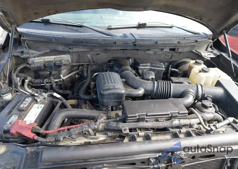 2010 Ford F-150 Fx2 Sport/Lariat/Xl/Xlt z USA, uszkodzony, nr VIN 1FTFX1CV6AFB73717